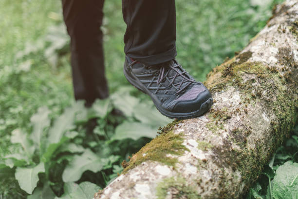 istock Hiking shoe trekking in woods 1209736756
