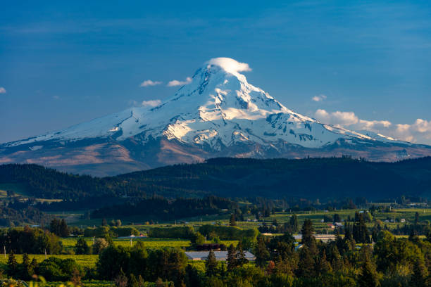 Orchards and farmland in foreground before a hazy Mount Hood