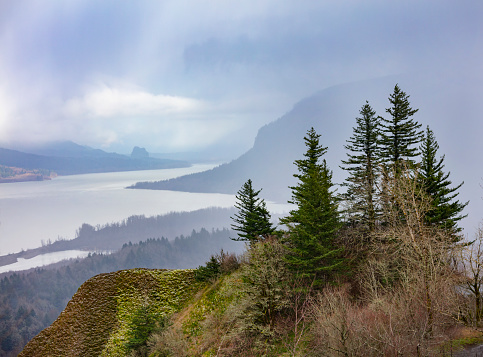 A cloudy, wet day in the Columbia River Gorge, Oregon.