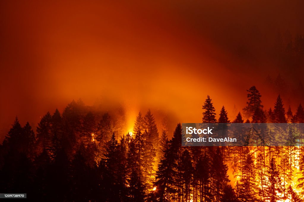 Eagle Creek Fire Oregon Columbia River Gorge. The Eagle Creek fire on the night of September 3rd 2017. Forest Fire Stock Photo