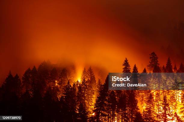 Eagle Creek Fire Oregon Columbia River Gorge Stock Photo - Download Image Now - Forest Fire, Fire - Natural Phenomenon, Oregon - US State