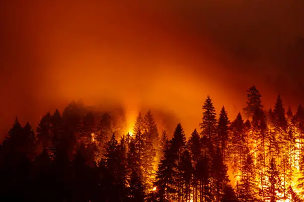 Photo of Eagle Creek Fire Oregon Columbia River Gorge.