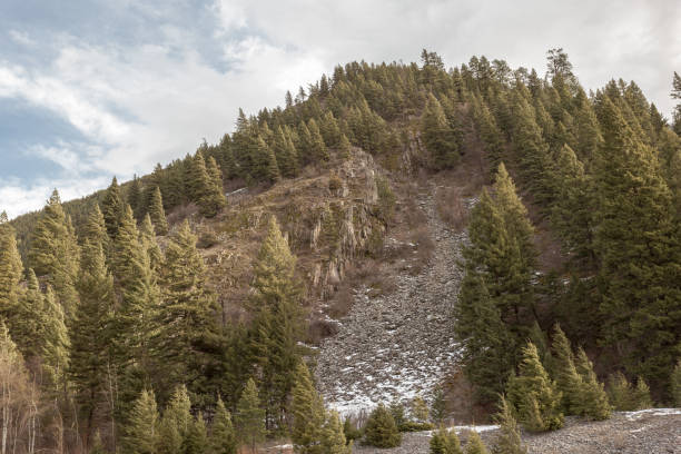 istock Large rocky hill covered in tall evergreen trees on cloudy day 1209739226