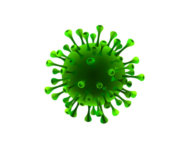 Virus organism danger, biology macro, white background. Vector illustration