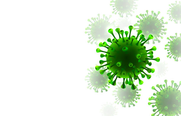 바이러스 유기체 위험, 생물학 매크로, 흰색 배경. - micro organism stock illustrations