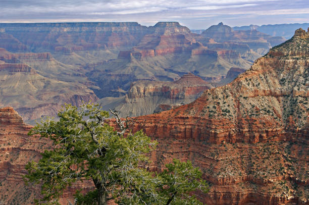 istock South Rim Grand Canyon 1209740697
