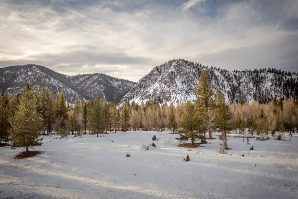 istock Stunning look at a snow covered mountain range with rocky cliffs and tree line on cloudy day 1209741033