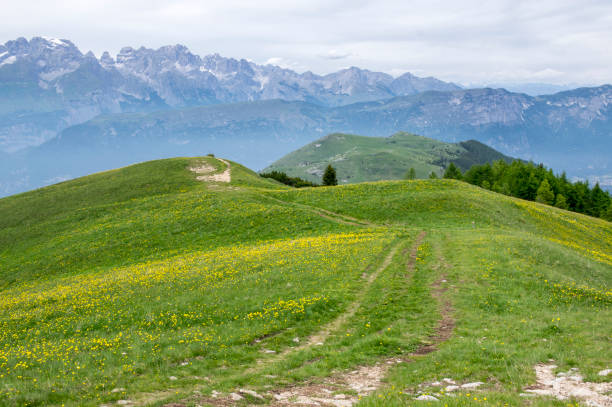 istock Italy, Mount Cornetto surroundings, italian Alps 1209742014