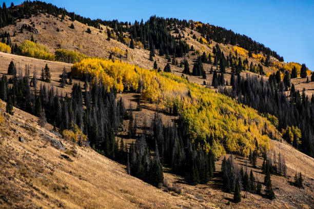istock Northern New Mexico Countryside 1209742248