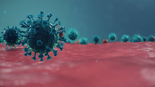 ilustración 3d concepto coronavirus bajo el microscopio. propagación del virus dentro del ser humano. epidemia, pandemia que afecta el tracto respiratorio. infección viral fatal. - dna epidemiology patient science fotografías e imágenes de stock