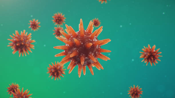 istock Coronavirus outbreak. Pathogen affecting the respiratory tract. COVID-19 infection. Concept of a pandemic, viral infection. Coronavirus inside a human. Viral infection causing chronic disease. 3D illustration 1209742403