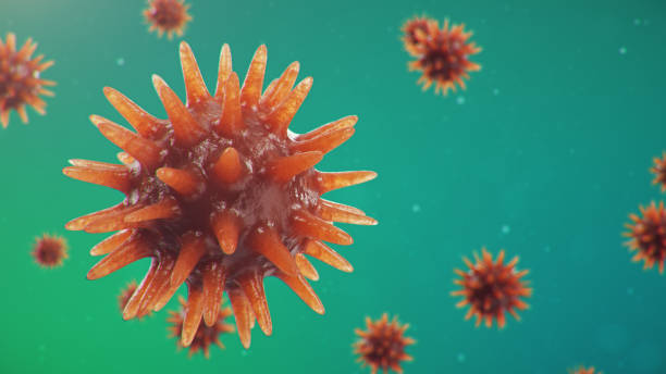 istock 3D illustration Coronavirus concept under the microscope. Spread of the virus within the human. Epidemic, pandemic affecting the respiratory tract. Fatal viral infection. 1209742405