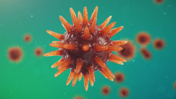 istock 3D illustration Coronavirus concept under the microscope. Spread of the virus within the human. Epidemic, pandemic affecting the respiratory tract. Fatal viral infection. 1209742410