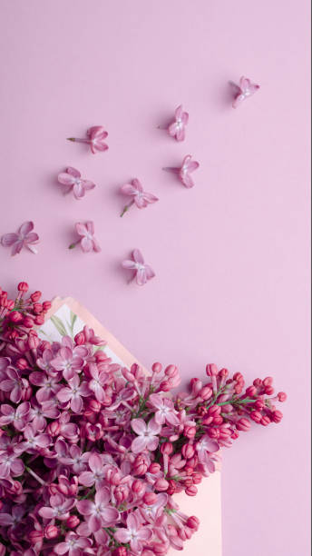 istock Beautiful lilac flowers at envelope on a same color background. Minimalistic floral trendy composition. 1209744859