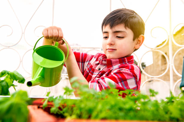 child doing gardening activities stock photo
