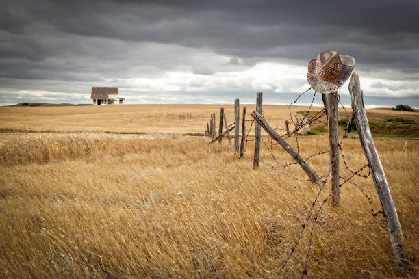 old farmhouse sitting in a wheatfield with old broken fence horizontal image of an old farmhouse sitting in the distance in a wheat field with an old  fence with broken posts leaning over and a cowboy hat hanging on a post under a cloudy stormy sky barbed wire photos stock pictures, royalty-free photos & images