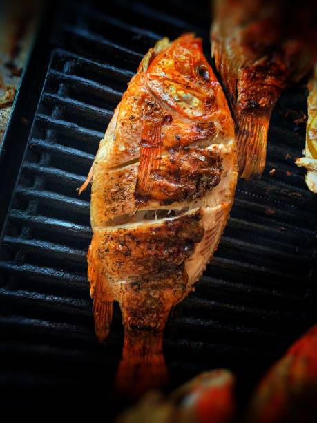 Fresh fish grilled