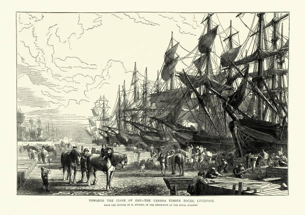 канада тимбер доки, ливерпуль, 1870-�е, 19-го века - liverpool western europe northwest england port of liverpool stock illustrations