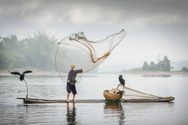 Photo of Chinese Li River Fisherman Throwing Fishing Net Xing Ping China