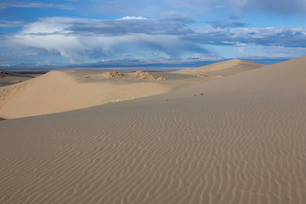 Beautiful sand dunes in desert