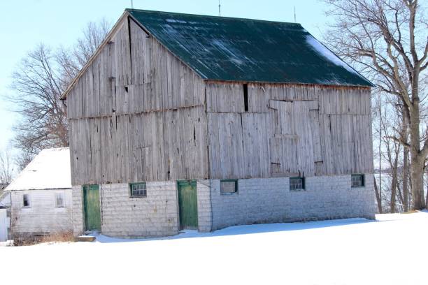 istock Winter at the farm 1209772732