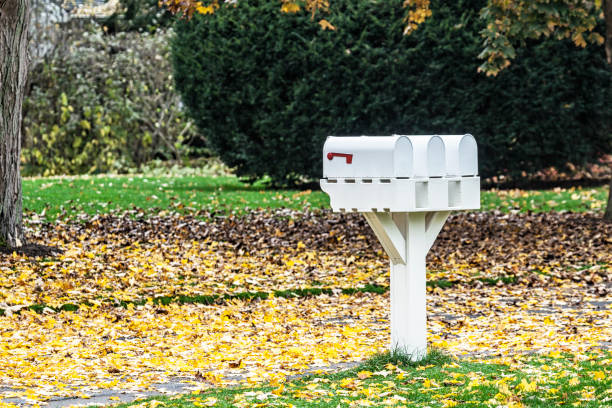 istock Three Rural White Mailboxes and Yellow Autumn Leaves 1209783119
