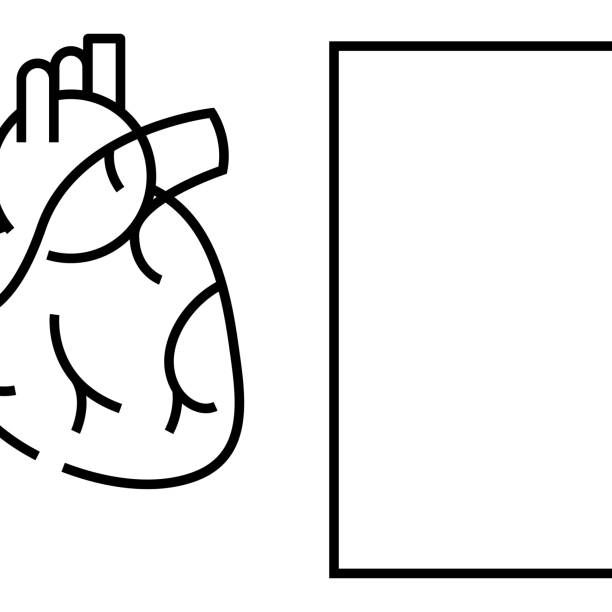 ilustraciones, imágenes clip art, dibujos animados e iconos de stock de órgano interno el icono de la línea del corazón, signo de concepto, ilustración vectorial de esquema, símbolo lineal - human cardiovascular system heart shape human hand healthy lifestyle