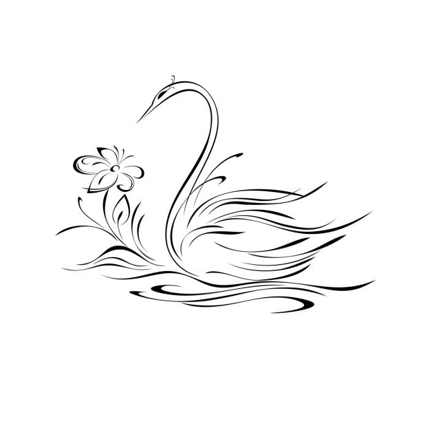 ilustraciones, imágenes clip art, dibujos animados e iconos de stock de cisne 31 - signifier
