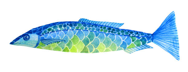 istock Watercolor hand-drawn blue and green fish naive art object isolated on white background 1209785391
