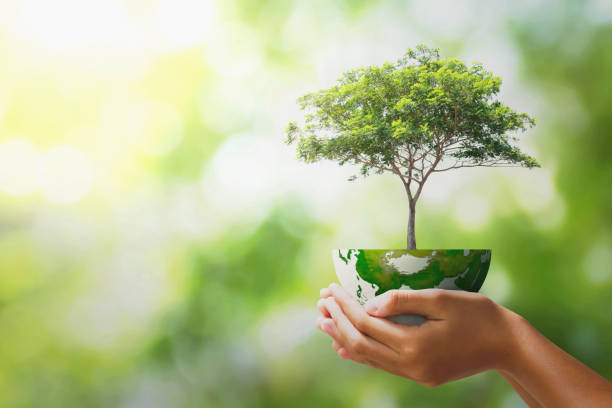 istock hand holding tree with half globe an d sunlight. concept eco earth day 1209785440