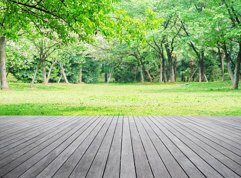 Empty wooden terrace and spring forest background