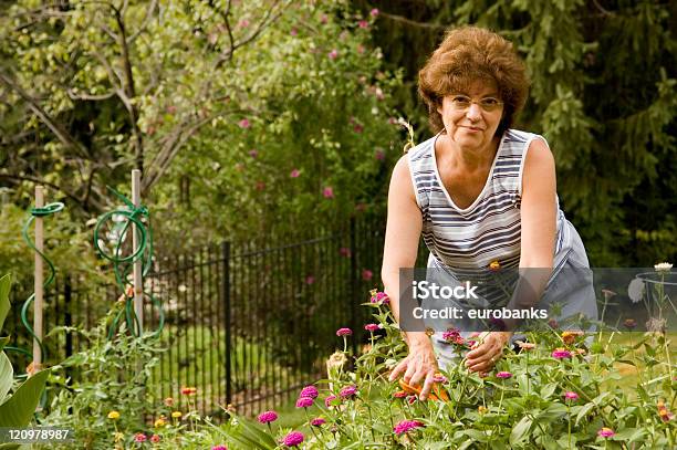 Gardener Stock Photo - Download Image Now - 60-64 Years, 60-69 Years, Active Lifestyle