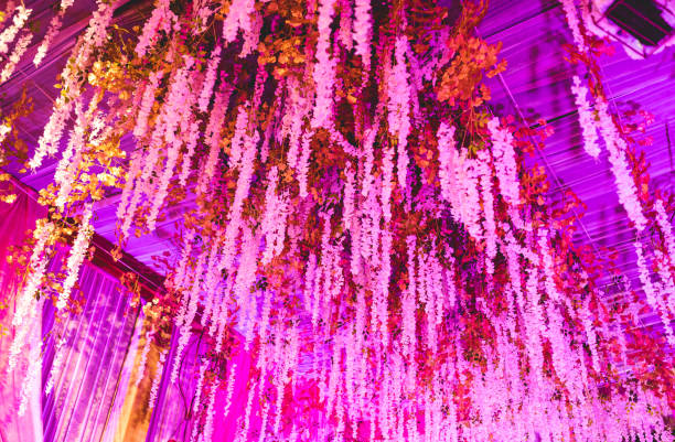 istock Purple Asian wedding decor. 1209790197