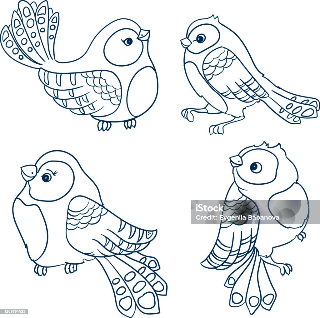 Bộ Bốn Con Chim Nhỏ Theo Phong Cách Hoạt Hình Vẽ Tay Phác Thảo Vector Minh  Họa Hình Minh Họa Sẵn Có - Tải Xuống Hình Ảnh Ngay Bây Giờ - Istock