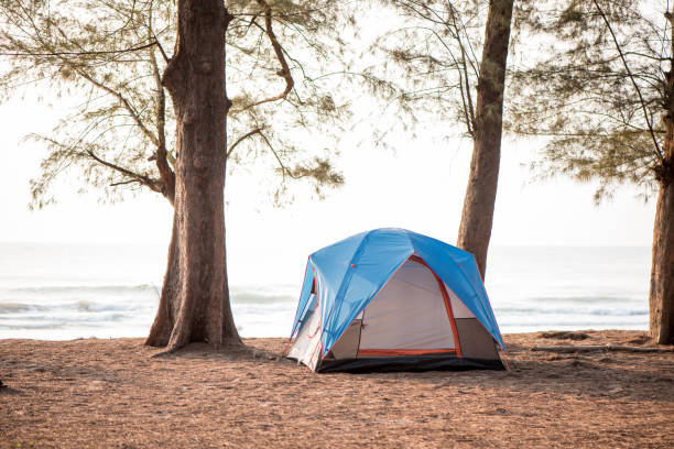 istock Blue tent on the beach , camping 1209797139