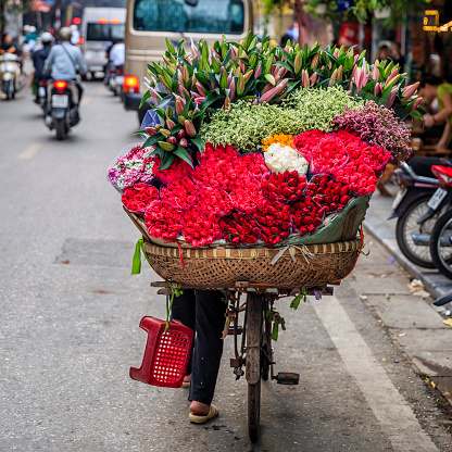 Vietnamese woman selling colorful flowers, old town in Hanoi, Vietnam. Hanoi is the capital of Vietnam, is located in the central area of the Red River Delta, and Hanoi is the second largest city in Vietnam.