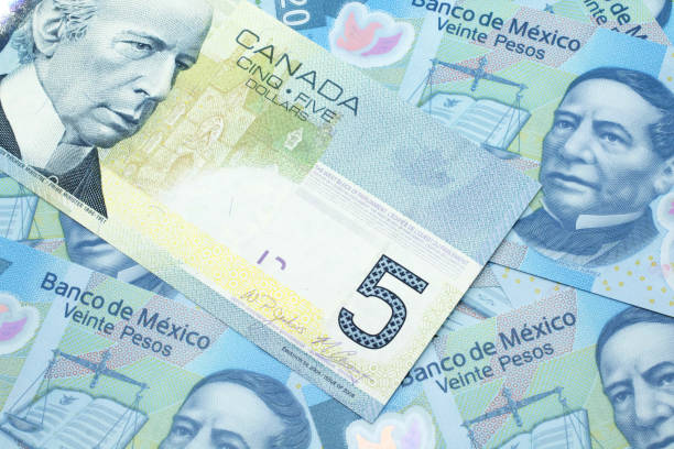 istock A Canadian five dollar bill on a background of dollar bills 1209806558
