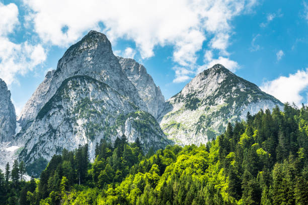 Gosausee with dachstein view - European Alps