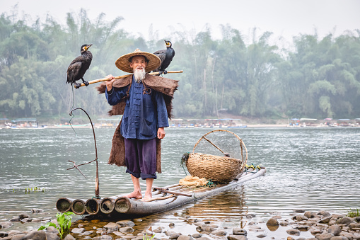 Pescador chino senior en el río Li de la balsa de madera tradicional, China photo