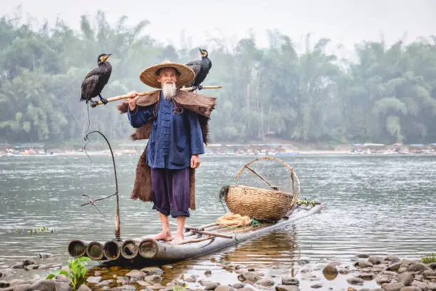 Photo of Senior Chinese Fisherman on Traditional Wooden Raft Li River, China