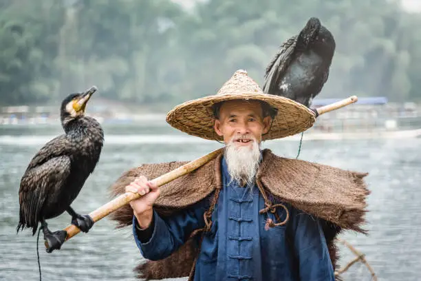 Photo of Li River China Senior Chinese Fisherman with Cormorants