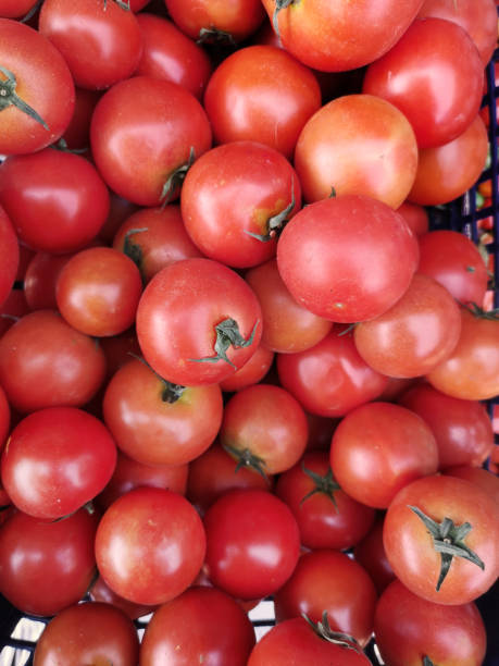 istock close up of red tomatoes 1209810614