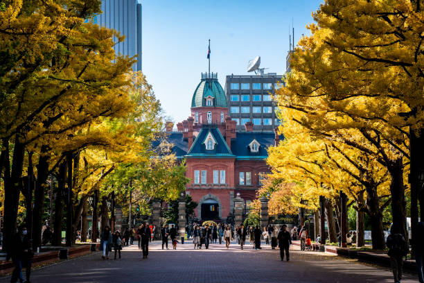 empleo anterior: hokkaido government office at dusk in sapporo - ginkgo tree ginkgo tree japan fotografías e imágenes de stock