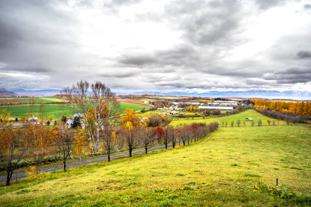 istock Biei in autumn, Hokkaido, Japan 1209820062