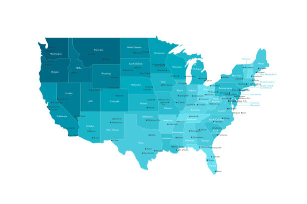 ilustrações de stock, clip art, desenhos animados e ícones de vector modern illustration. simplified isolated administrative map of usa (only contiguous states) . white background, blue shapes. names of states and some big and capital cities. - capital cities