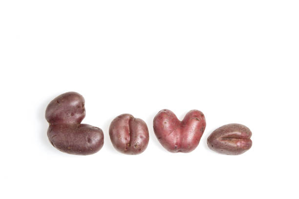 brzydkie warzywa. śmieszne zdeformowane ziemniaki w formie podobnej do liter. zbliżenie. kopiuj miejsce - heart shape raw potato food individuality zdjęcia i obrazy z banku zdjęć