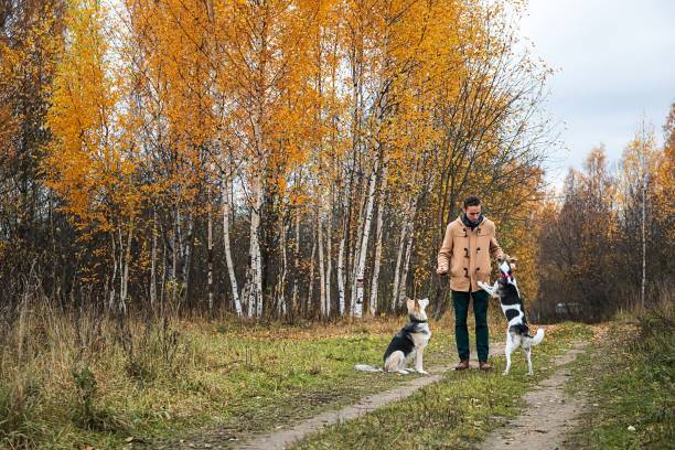istock Cheerful guy communicating with dog in nature 1209825576