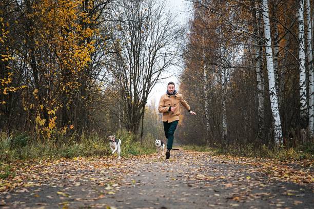 istock Cheerful guy running with dogs in nature 1209825628