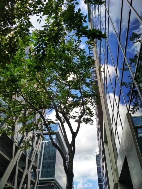 istock Green City and Blue Sky reflection 1209826222