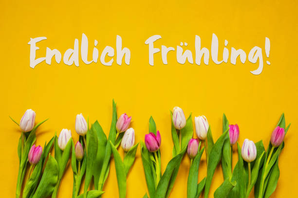istock Colorful Tulip, Text Endlich Fruehling Means Finally Spring, Yellow Background 1209827299